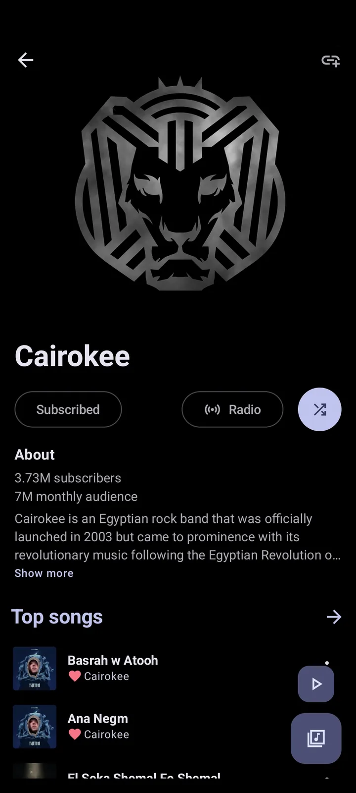 Metrolist artist page on Android