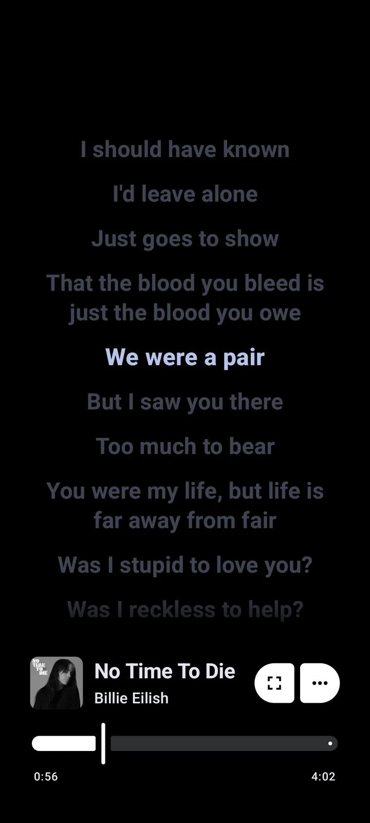 Metrolist synchronized lyrics screen